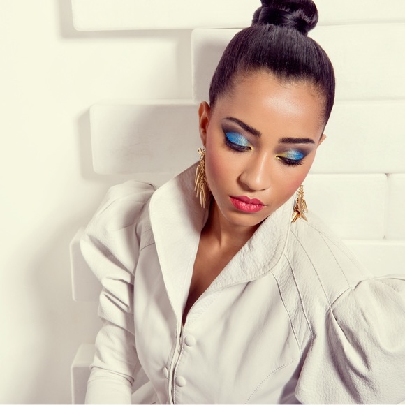 FIXX Cosmetics Accent Couleur Blush Plum Princess shadow brush + Blush BARE SKIN - Picture 7 of 11